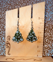 Load image into Gallery viewer, Earrings