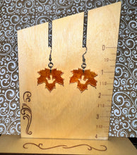 Load image into Gallery viewer, Earrings

