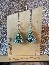 Load image into Gallery viewer, Earrings

