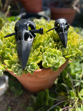 Load image into Gallery viewer, Crow Skull Hairpin

